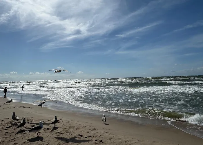 Lägenhet - Dwie Wody *