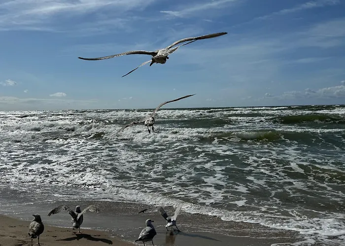 - Dwie Wody Lägenhet