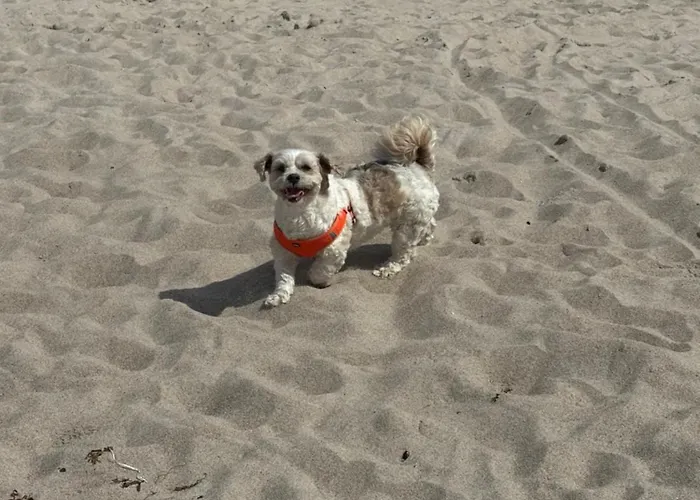 - Dwie Wody Lägenhet Zakrzewo (Slawno)